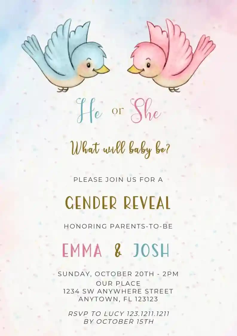 Gender reveal -kutsut - Linnunpoika